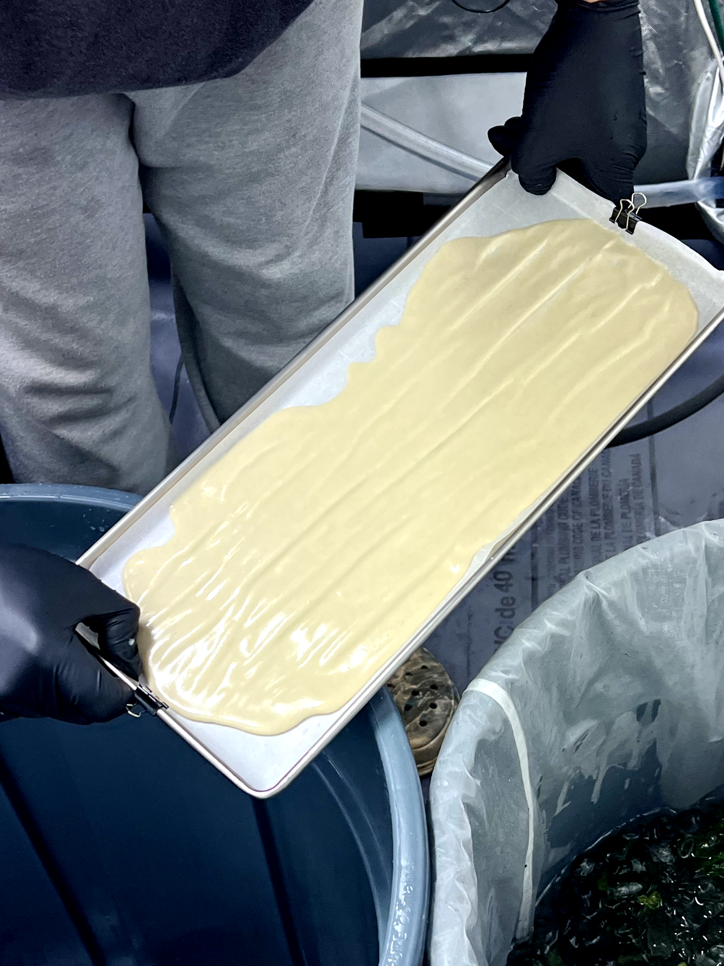 Spell Cast #316 (Honey Banana x Melted Strawberries)